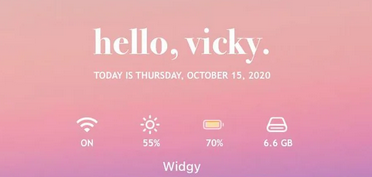 Widgy widget