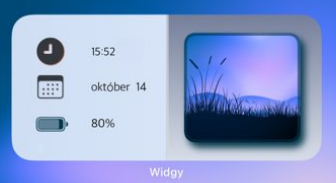 Widgy widget