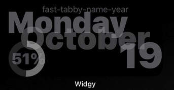 Widgy widget